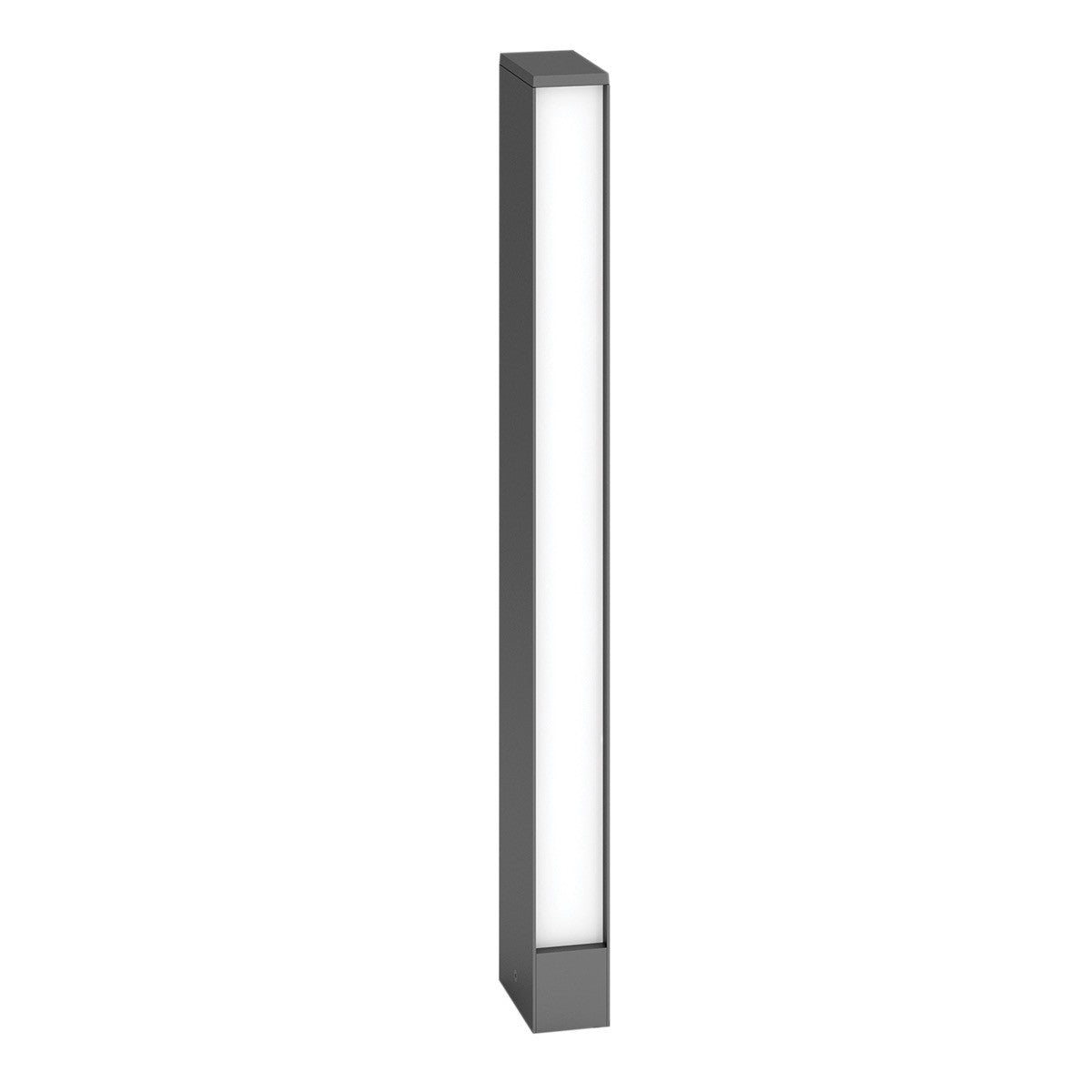 CODA 02232