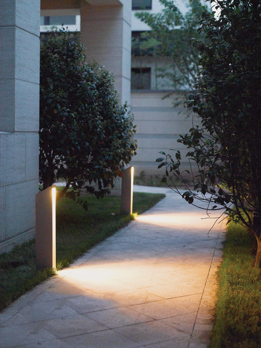 CODA 02099/AN
